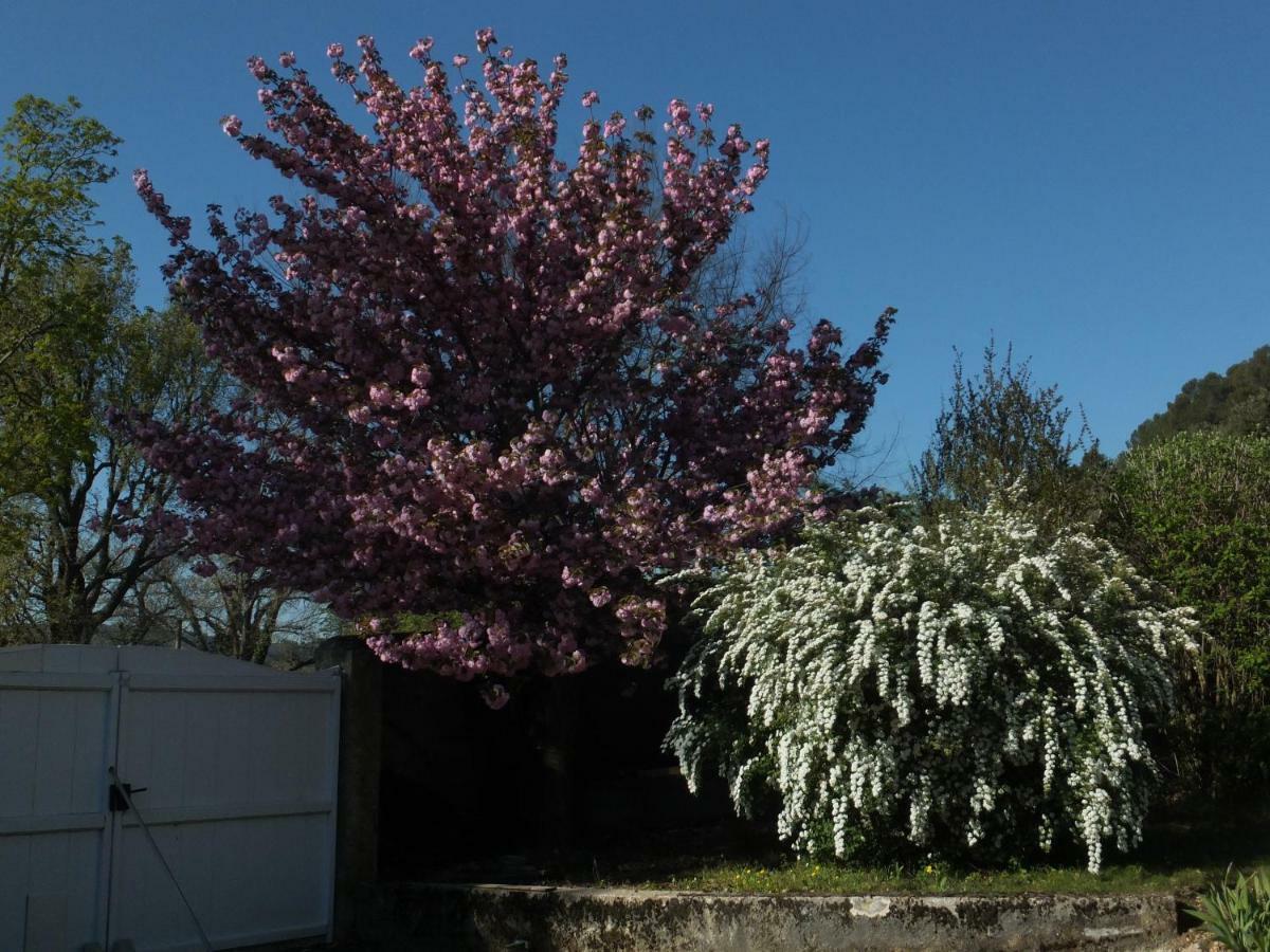 Bastide Du Bonheur Saint Donat Bed & Breakfast Greoux-les-Bains Bagian luar foto